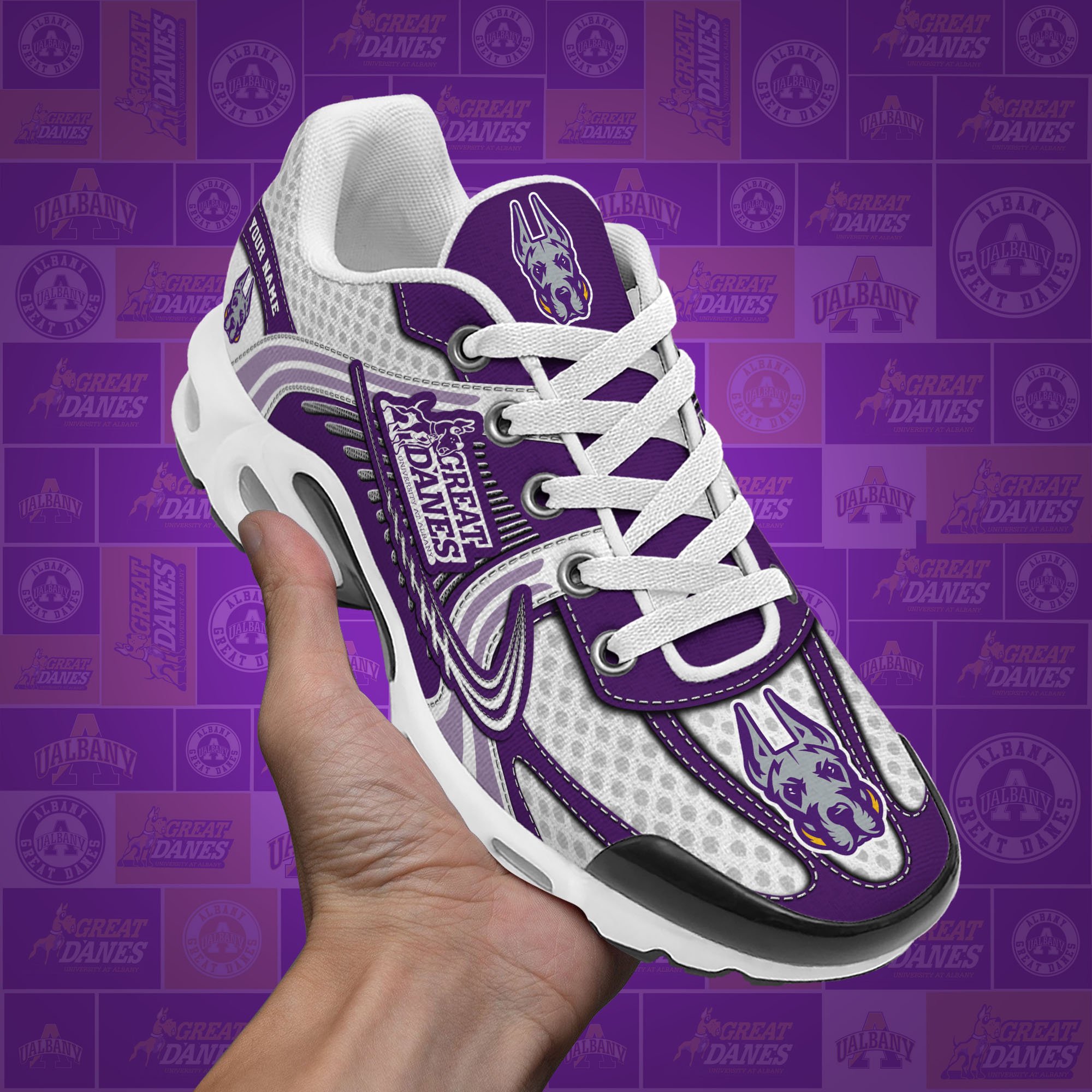 Albany Great Danes TN Shoes Custom Your Name, Sport Shoes