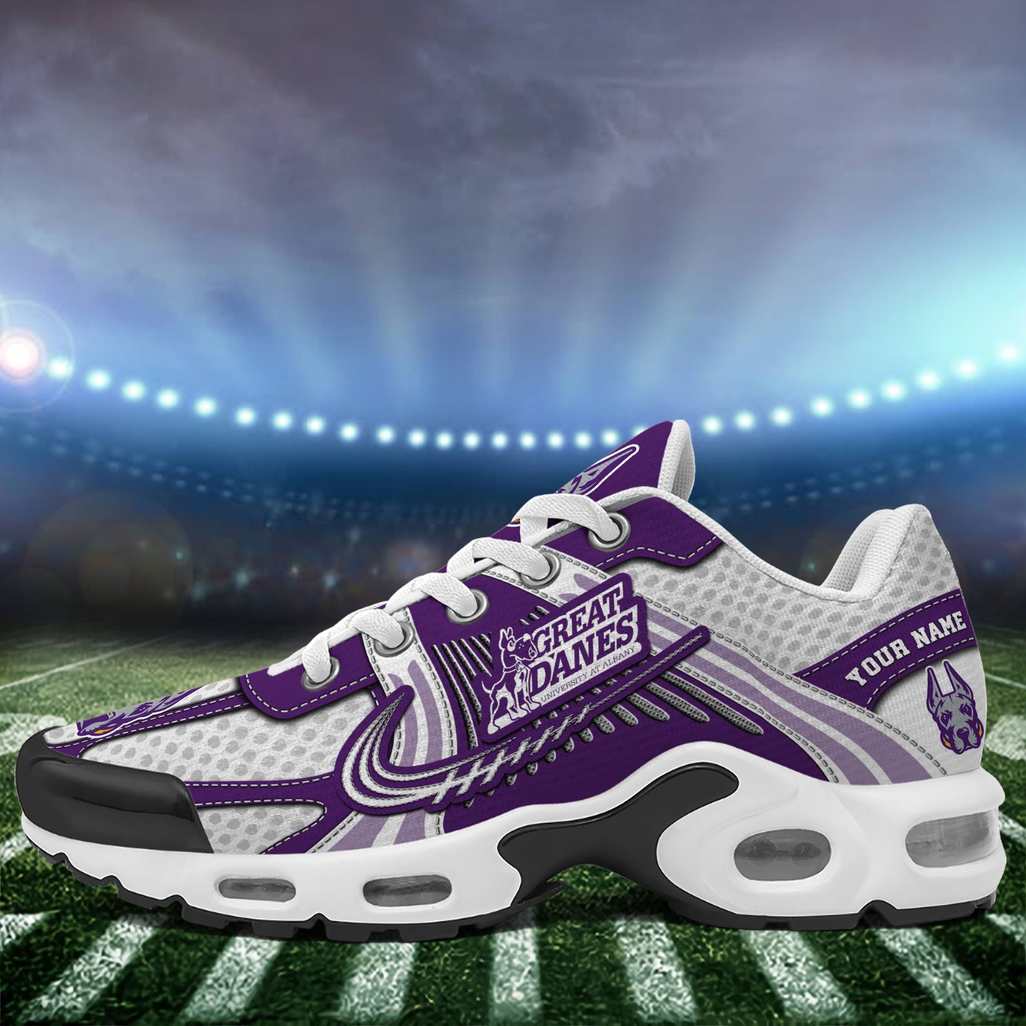 Albany Great Danes TN Shoes Custom Your Name, Sport Shoes