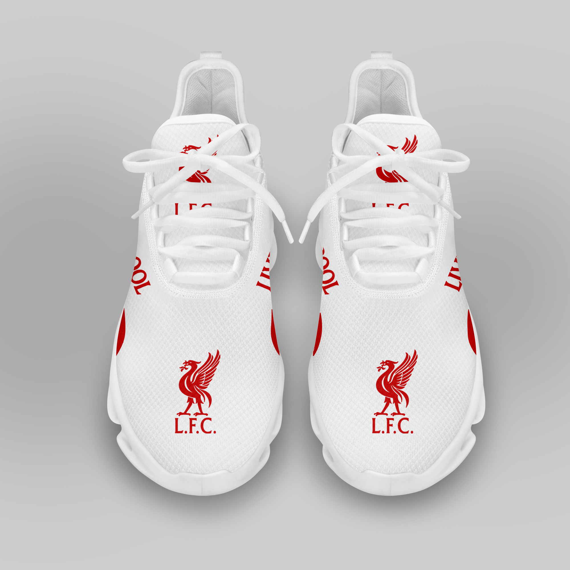 Liverpool FC RUNNING SHOES VER 17
