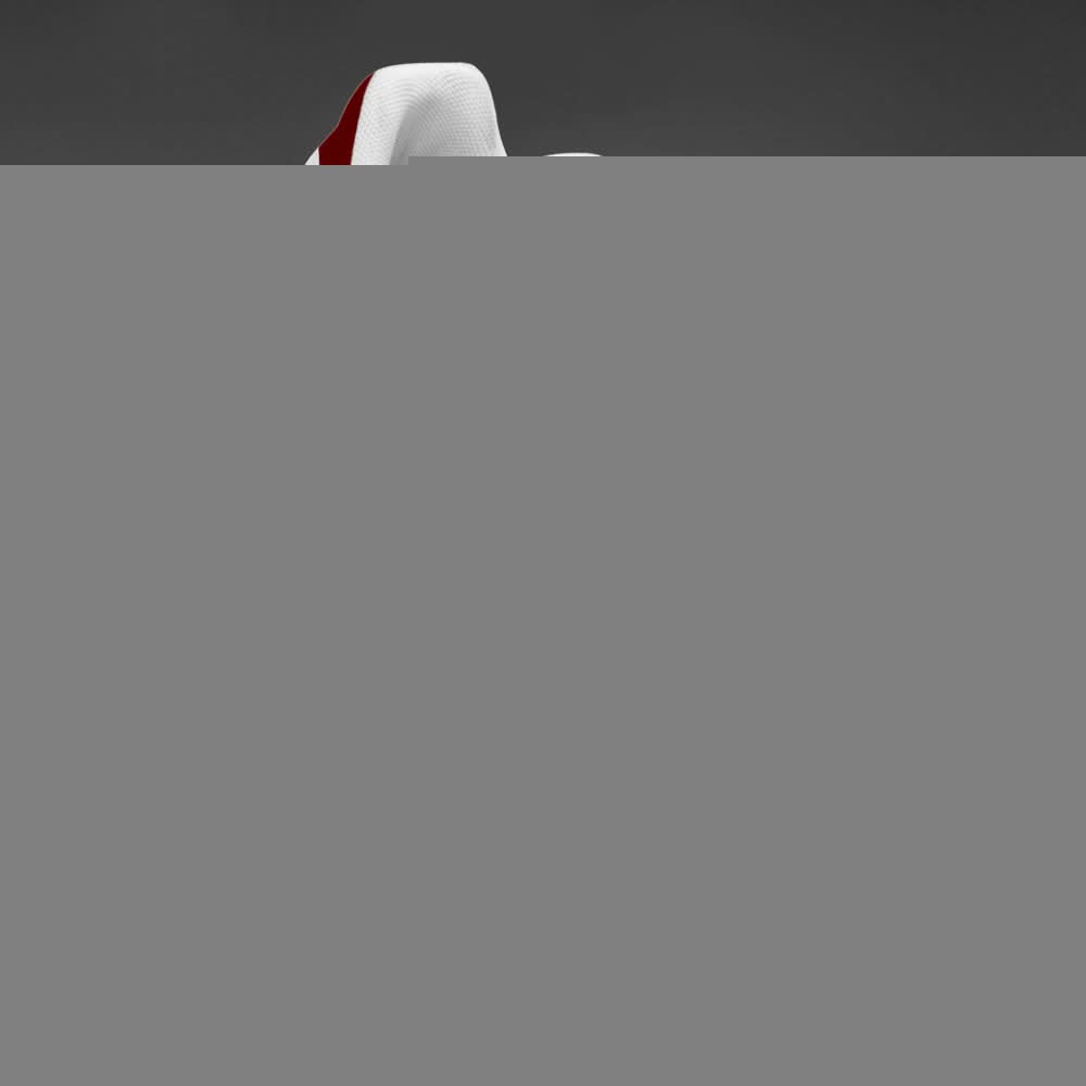 Mississippi State Bulldogs Air Max Plus Shoes